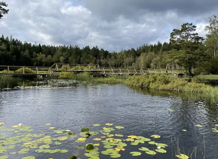Store-Malen runt