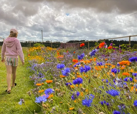 Tavlebord Honungsgård