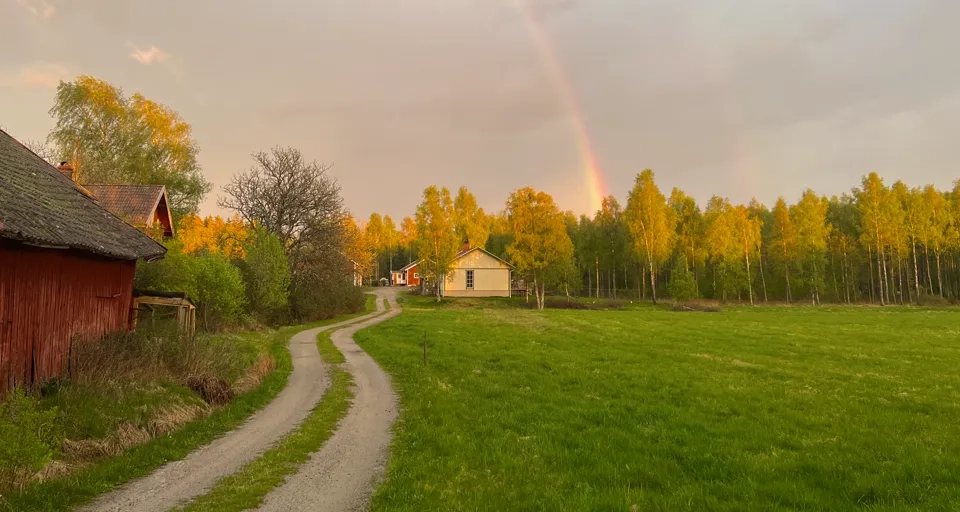 Dammahagen regnbåge