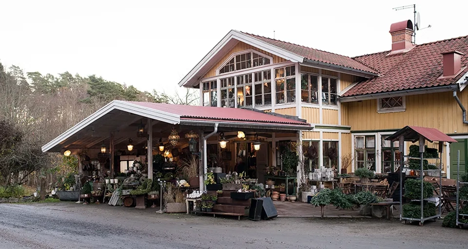 En byggnad med en massa krukväxter framför sig.