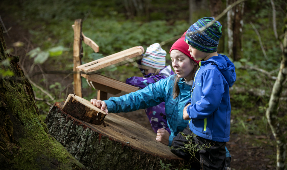 Två barn och en kvinna står i skogen och utforskar en lekstation.