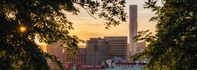 A view of a city from behind some trees.