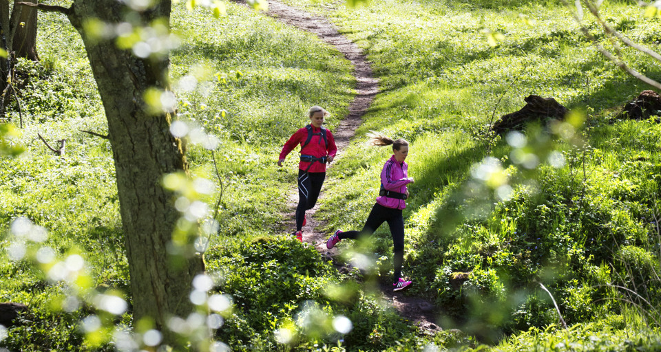 A couple of people that are trailrunning in the grass.