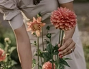 Blommor för självplock