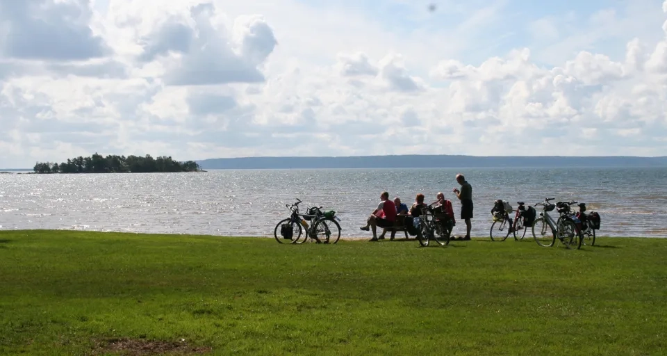 En grupp människor som står bredvid cyklar nära ett vattendrag.