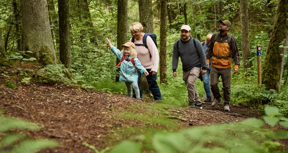 Människor som vandrar i lummig natur.
