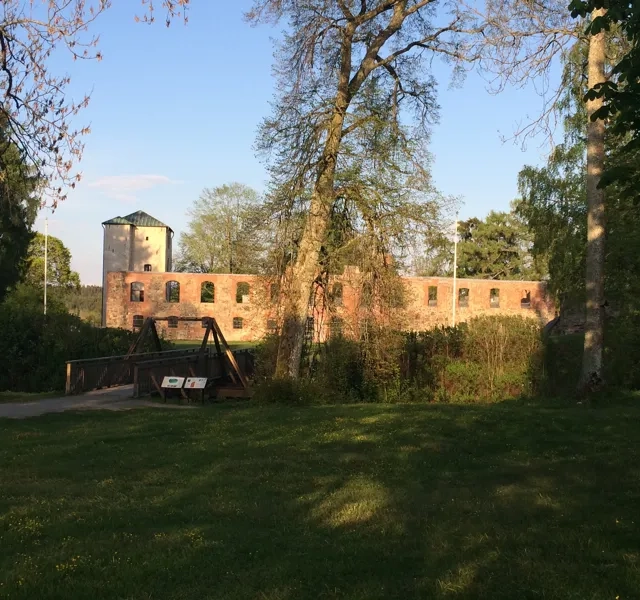 Ett gräsbevuxet område med träd och en slottsruin i bakgrunden.