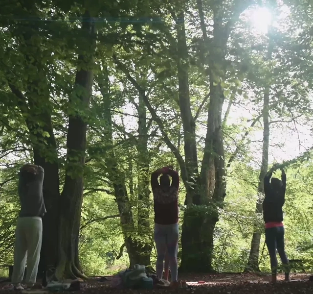 En grupp människor som gör yoga i skogen.