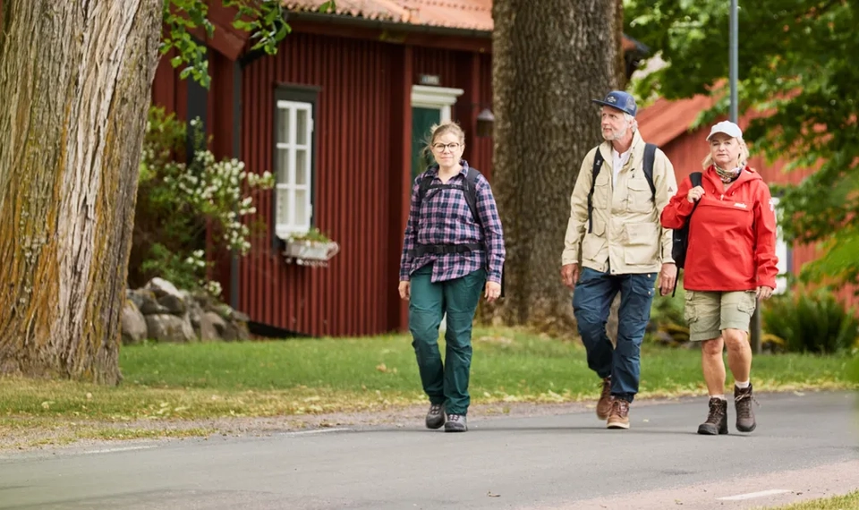 Människor som vandrar på väg.