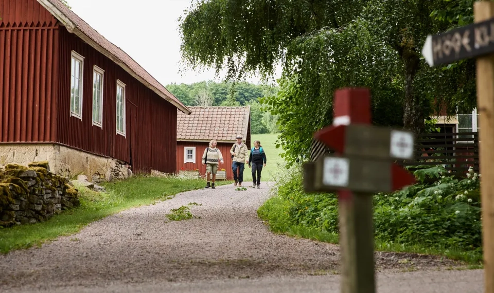 Människor som vandrar på grusväg.