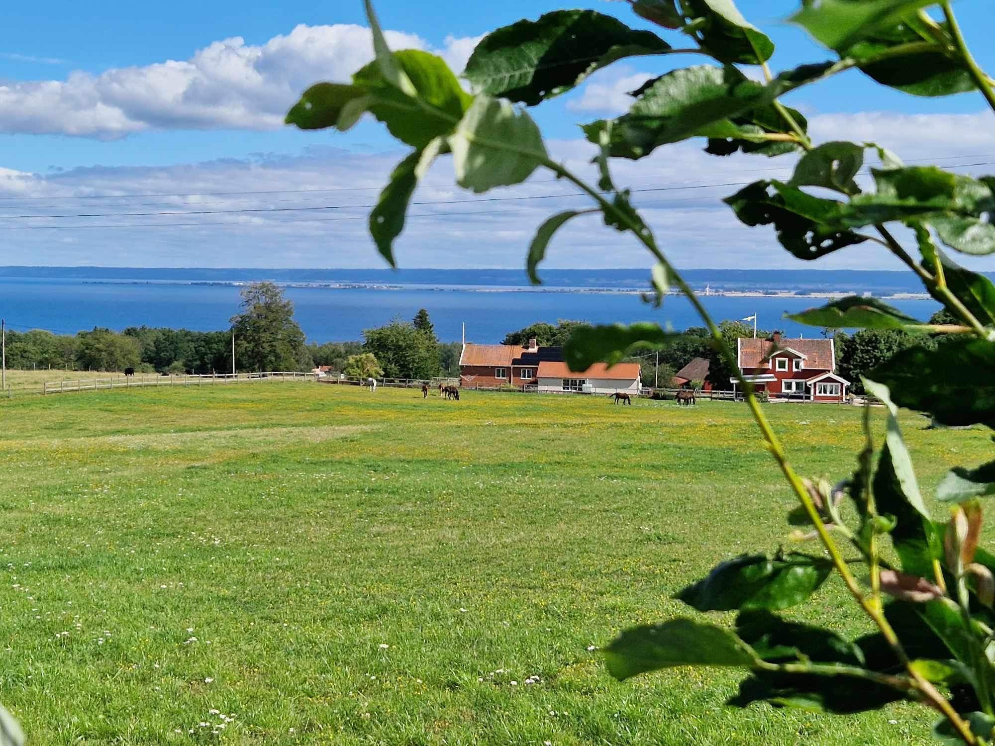 EN KVÄLL I JULI (Allsång) hos THE VIEW SWEDEN