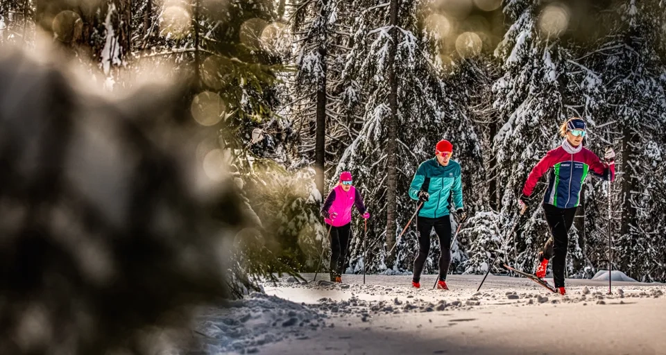 Skidåkare på Billingen