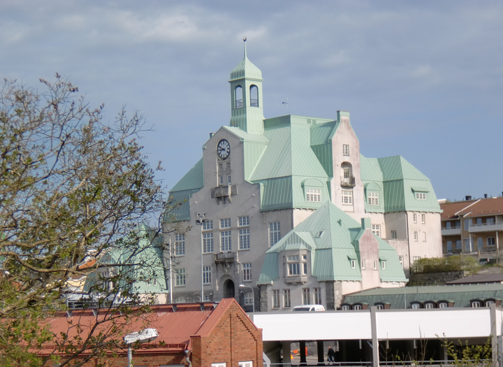 Vetenskapsfestival