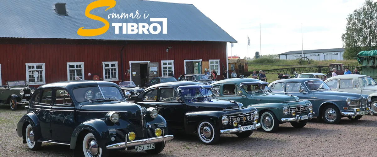 Gammelbilsträff aug