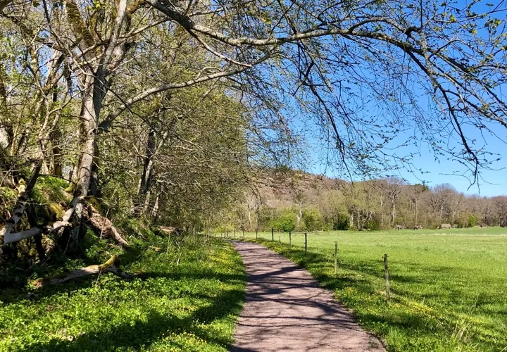 Näverkärr naturreservat