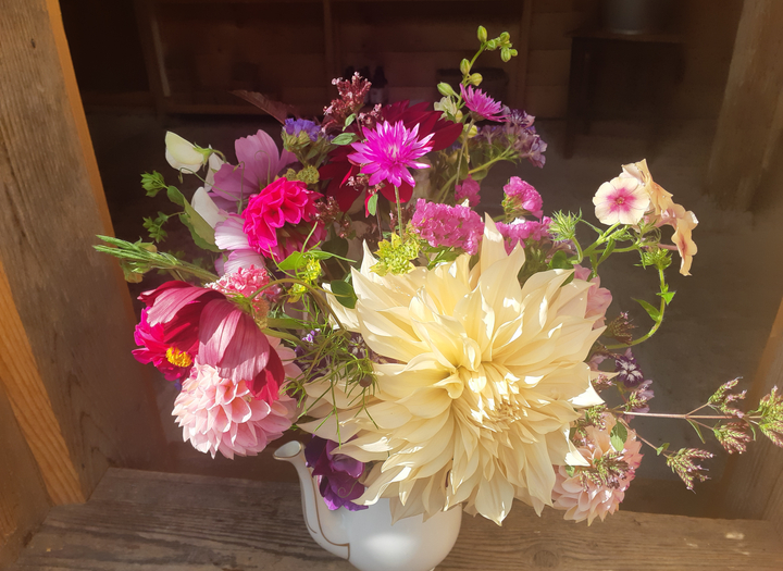 Självplock av sommarblommor