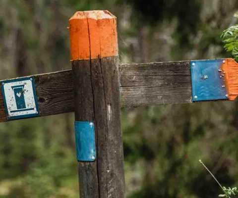 Ein Holzkreuz inmitten eines Waldes.