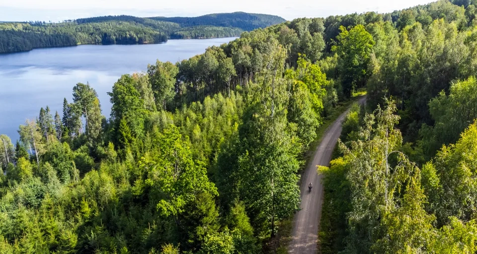 Cyklist vid en sjö i skogen.