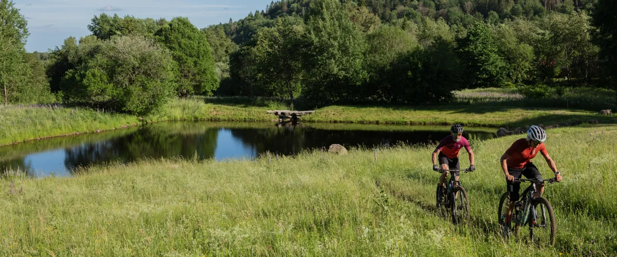 Billingen Skövde – Officiellt Vasaloppscenter