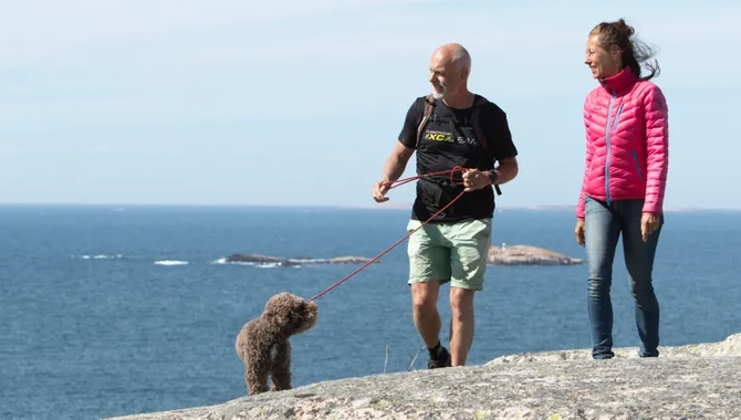 Två personer med hund vandrar vid Ramsvikslandet