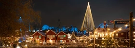 A christmas tree is lit up in the middle of a town.