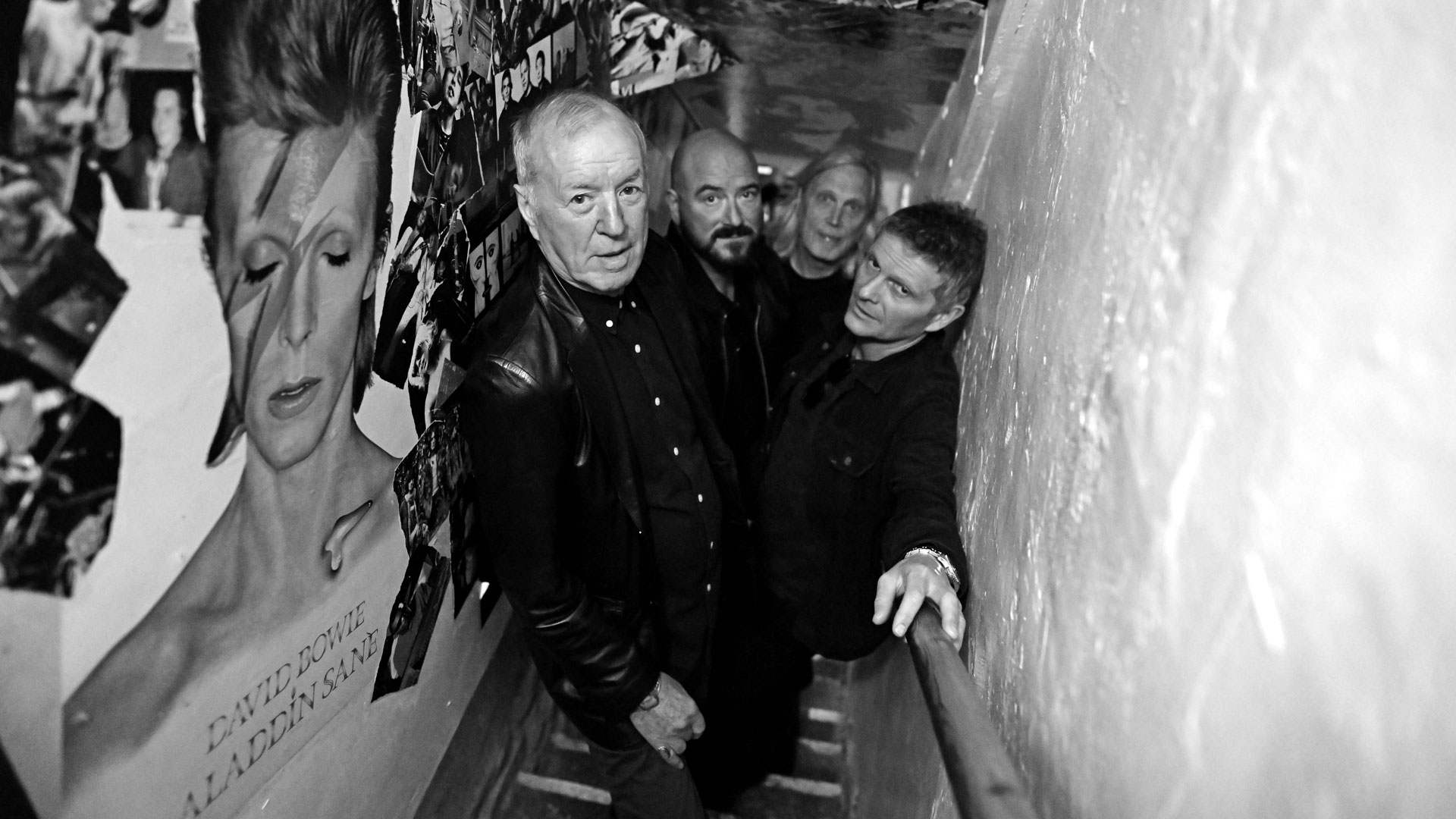 The Animals