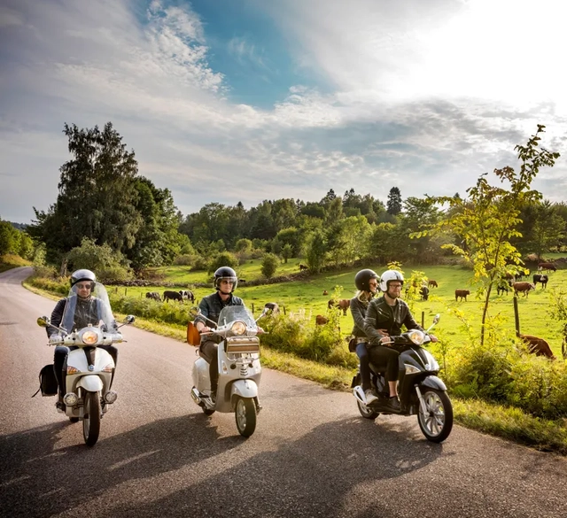 Tre mopeder som kör på en väg med kossor i hagen bredvid.