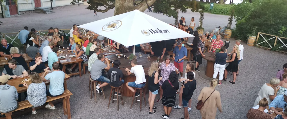 Biergarten - White Water Stringband