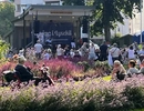 En grupp människor som sitter mitt på en frodig grön äng.