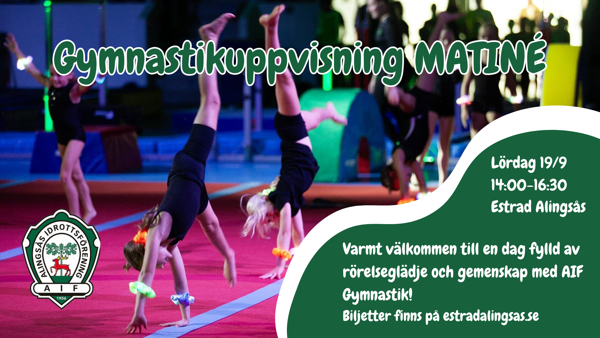 Gymnastikuppvining MATINÉ