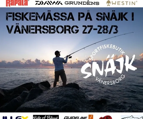 En man står på toppen av en klippa intill havet.