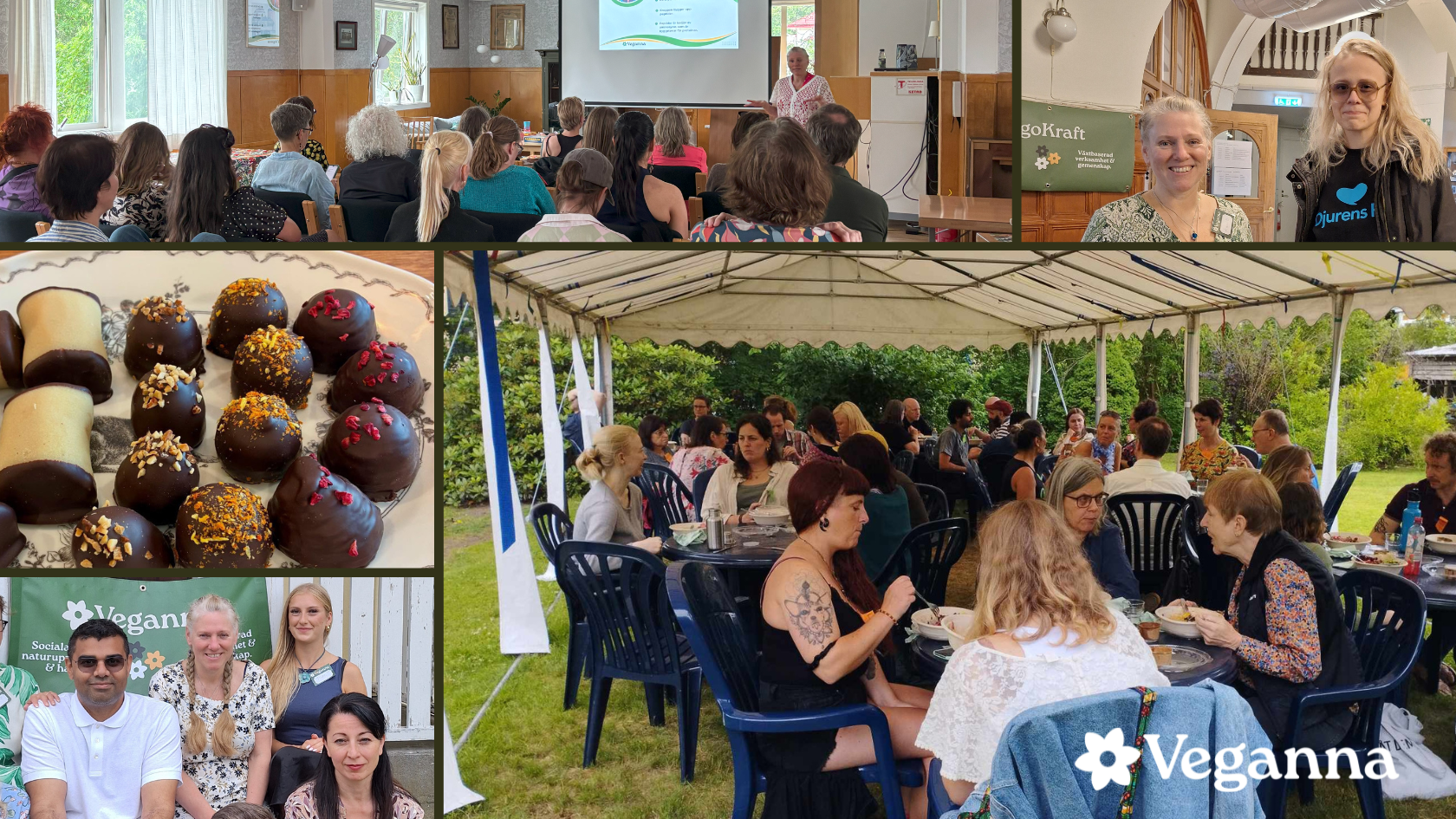 VegoKraft Sommarfestival🌱