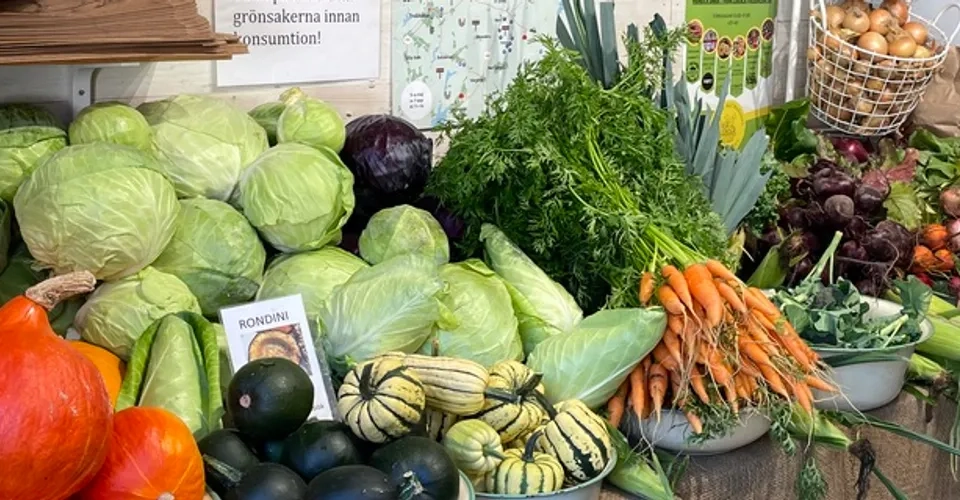 En mängd olika frukter och grönsaker på ett bord.
