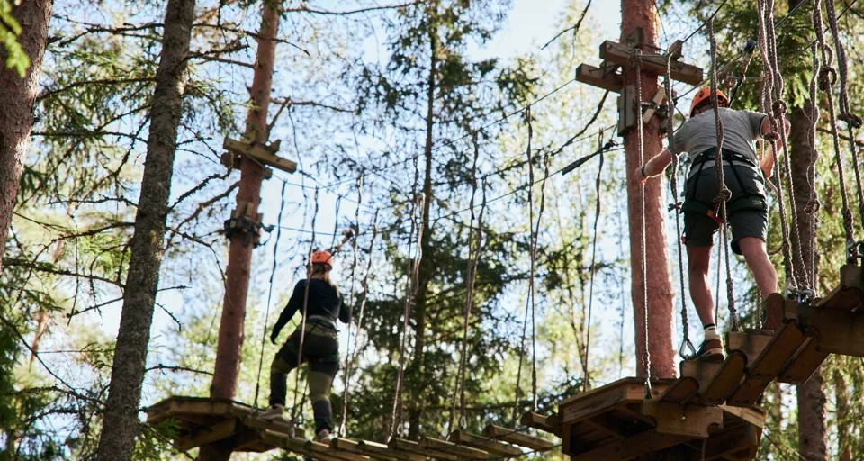 Två personer går över en träbro i skogen.