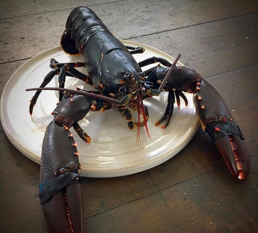 Smaka på Bohuslän 2/10 Hummersupé & boende i Grebbestad