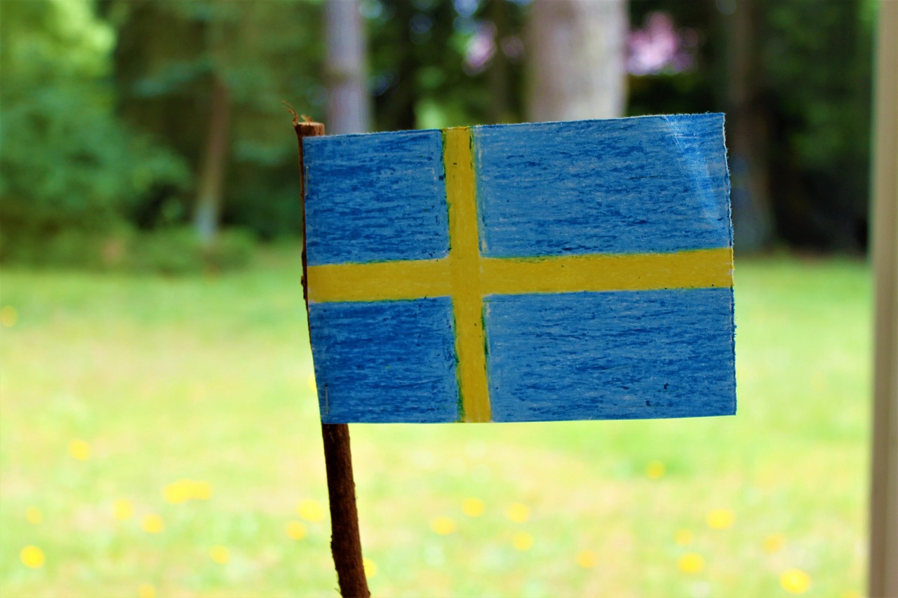 Nationaldagsfirande på Surfviken