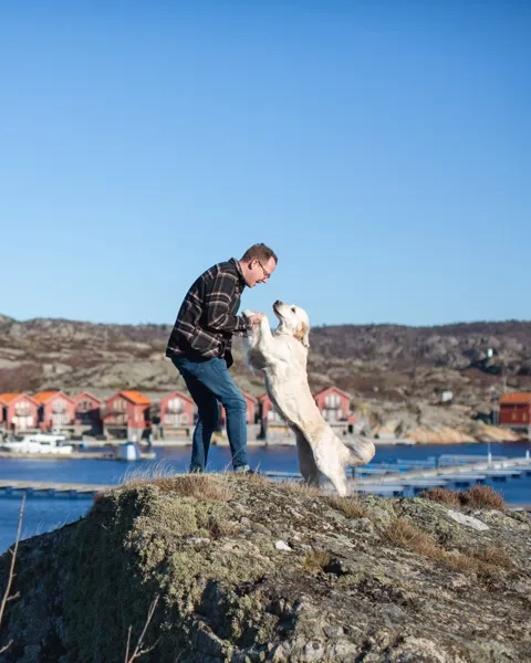 Hotel Strana Hälleviksstrand hund