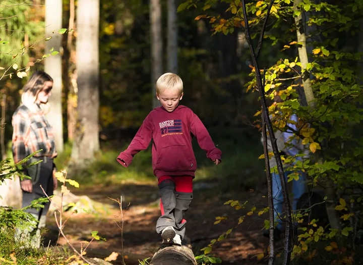 Trollstigen i Trollskogen på Hunneberg