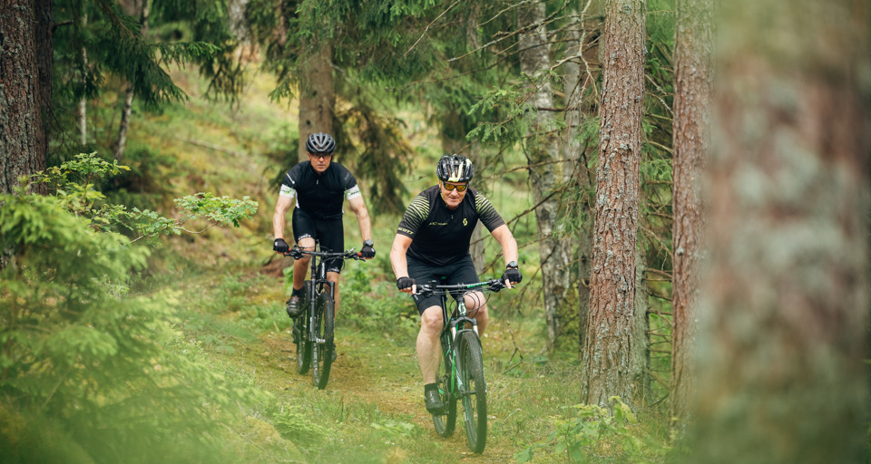 Människor som cyklar i ett naturområde.