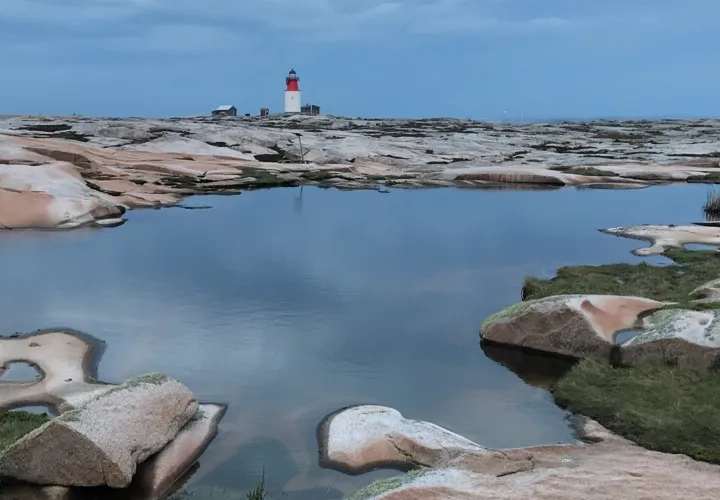 Guidad geologisk vandring 