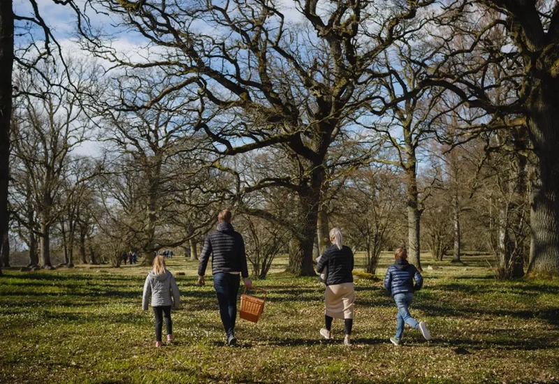Picknick på Levene äng