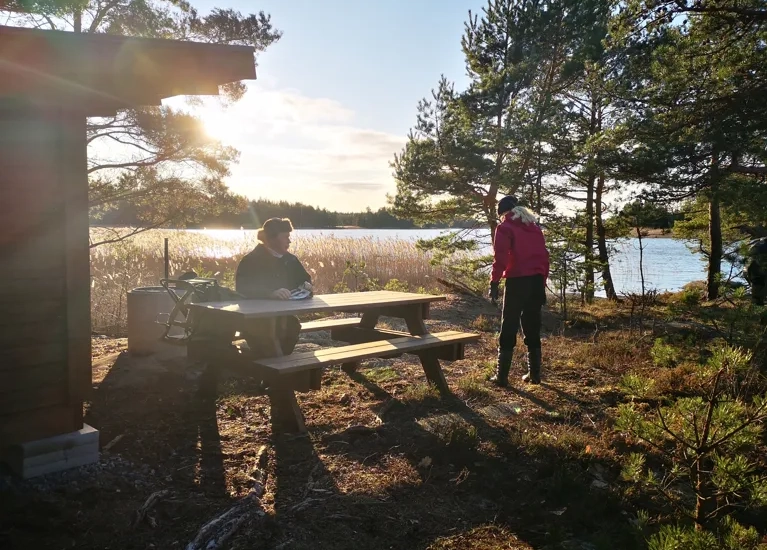 Vindskydd, Picknickbord och grillplats bland tallar och vass intill vattnet.