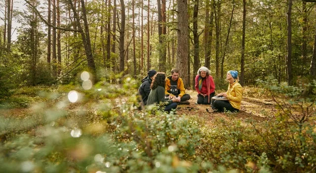 En gruppe mennesker som sitter på toppen av en frodig grønn skog.