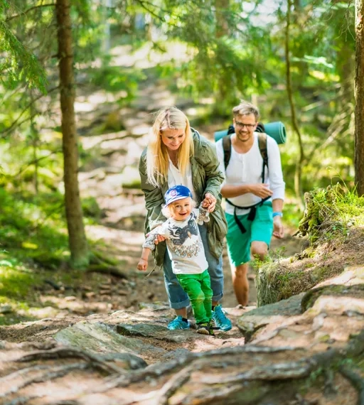 En glad familj som går uppför en backe i en grön skog.