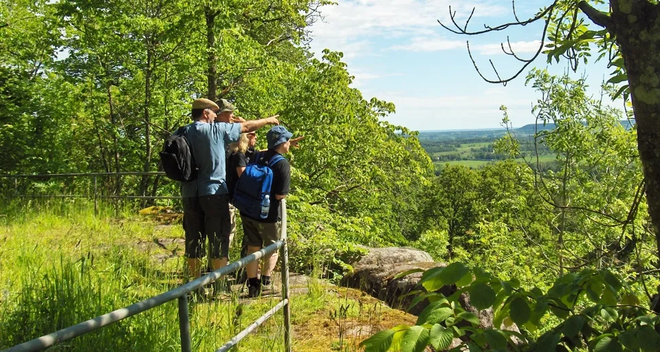 En grupp människor som står på toppen av en grönskande sluttning.