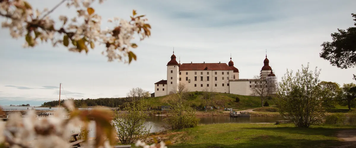 Blommande träd i förgrund och Läckö slott i bakgrunden