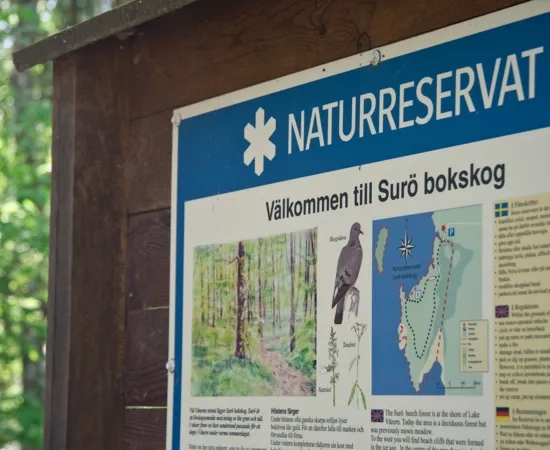 En skylt som visar information om naturreservatet Surö bokskog.