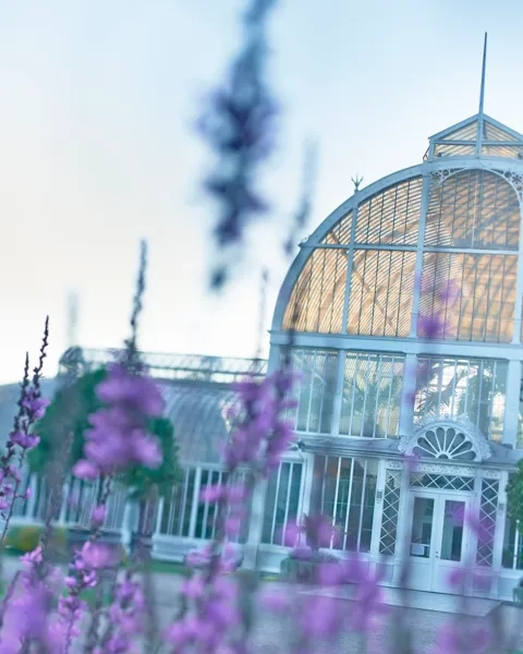 Palm house