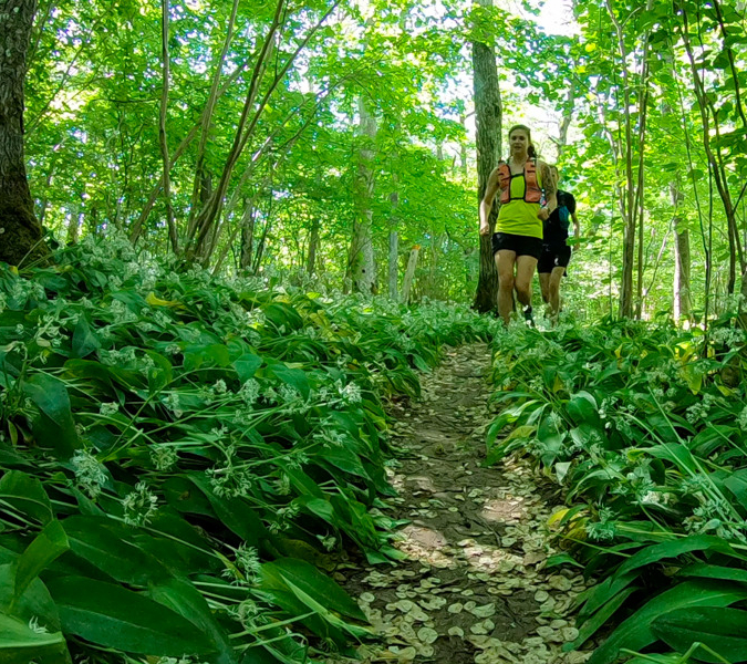 Two persons running through a lush green forest.