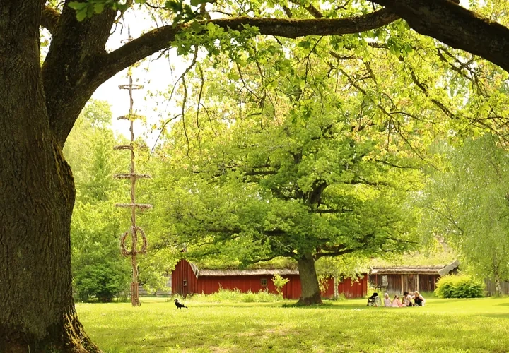 Hembygdsrundan - Fornbyn Västergötlands museum